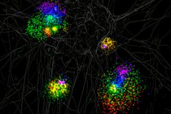 EV Kaleidoscope: Unveiling Colourful Secrets of the Brain