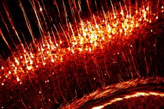 Fire optics