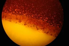 Rhodamine B