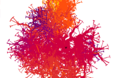 Membrane Voltage Distribution Including a Gap Junctions Feature of a Pathology Astrocyte in Multiple Sclerosis