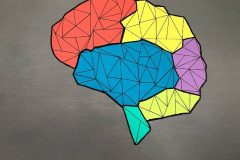 Brain