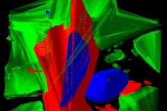 Model of ubiquitin and cytokine in a glioblastoma cell