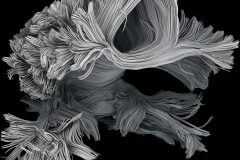 Human brain tractography inspired by codebar art