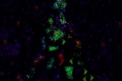 Merry cell-xmas!
