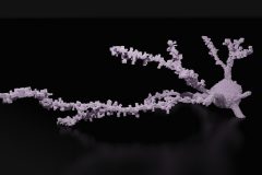Minecrafty neuron